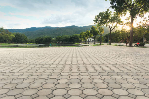 Best Custom Driveway Pavers  in Elwood, UT